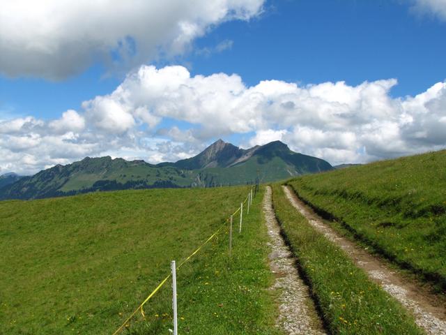 auf dem Weg zur Walliser Wispile. Diese Alpen sind Eigentum der Wallisergemeinde Savièse