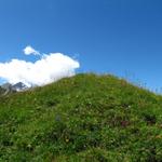 wir haben die kleine Gipfelwiese der Walliser Wispile 1982 m.ü.M. erreicht