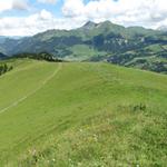 auf dem Weg zurück zu der Wegkreuzung 1950 m.ü.M.