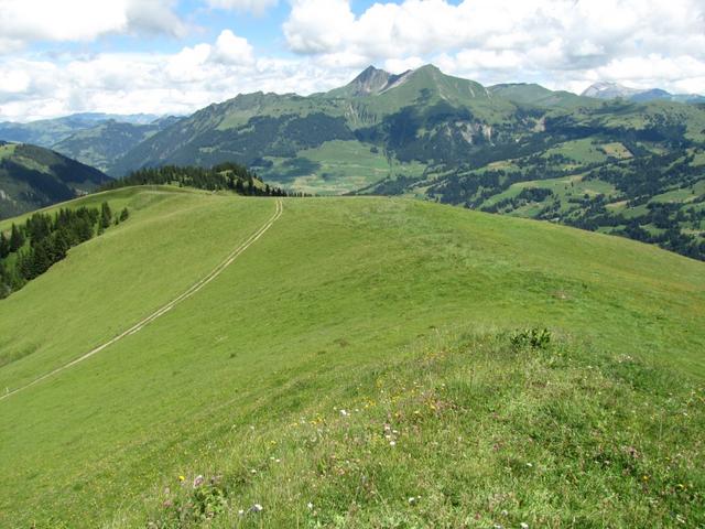 auf dem Weg zurück zu der Wegkreuzung 1950 m.ü.M.