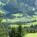 Tiefblick zum schönen Lauenensee