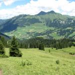 Blick Richtung Lauenen, Wasserngrat, Giferspitz und Lauenehore