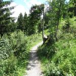 wir haben die Chrine hinter uns gelassen und wandern nun auf einfachem Wanderweg abwärts zum Lauenensee