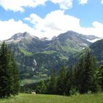 der Lauenensee taucht vor uns auf. Gut ersichtlich der Tungelschuss