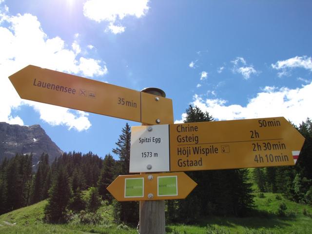 Wegweiser bei Spitzi Egg 1573 m.ü.M.