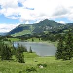 Blick auf den Lauenensee. Ist im Bundesinventar der Landschaften und Naturdenkmäler von nationaler Bedeutung erfasst