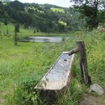 wir verlassen nun die schöne Gegend vom Lauenensee