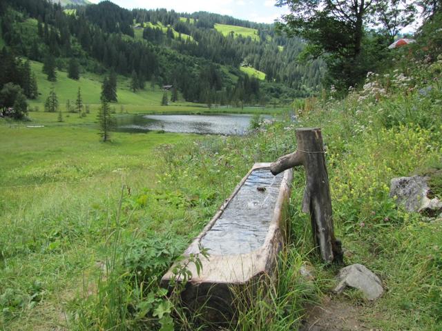 wir verlassen nun die schöne Gegend vom Lauenensee