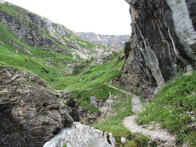 der Bergweg führt nun direkt neben dem Geltenbach weiter aufwärts