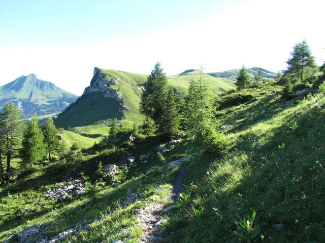 bei Almenegg 1829 m.ü.M.