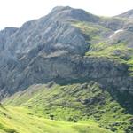 unser weiterer Wegverlauf zum Tungelpass. Kaum zu glauben das rechterhand vom Pass, ein Weg in die Höhe führt