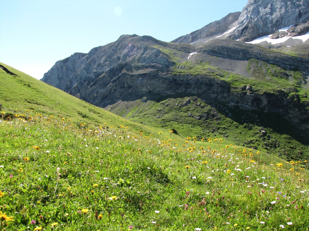 auf dem Weg zum Tungelpass