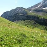 auf dem Weg zum Tungelpass