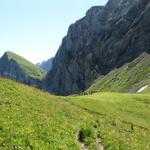 wir haben den Tungelpass erreicht der zugleich die Grenze zwischen dem Saanenland und das Obersimmental ist