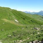 Blick zurück zum Tungelpass