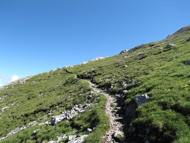 die "Schlüsselstelle" haben wir nun hinter uns. Der Pfad ist nun wieder ein ganz normaler und einfacher Wanderweg