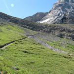 auf der Hochterrasse des Stiegelschafberg, wandern wir Richtung Felswand des Niesehorn