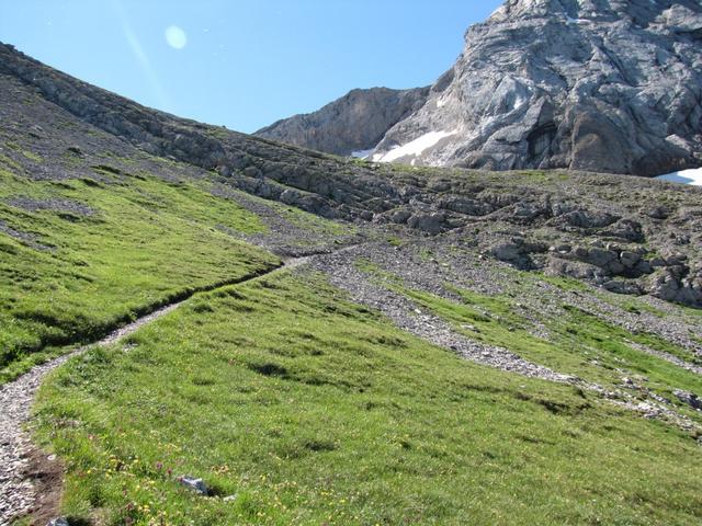 auf der Hochterrasse des Stiegelschafberg, wandern wir Richtung Felswand des Niesehorn