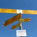 wir haben die Wegkreuzung bei Stigle 2317 m.ü.M. erreicht. Weiter geht es Richtung Wildhornhütte