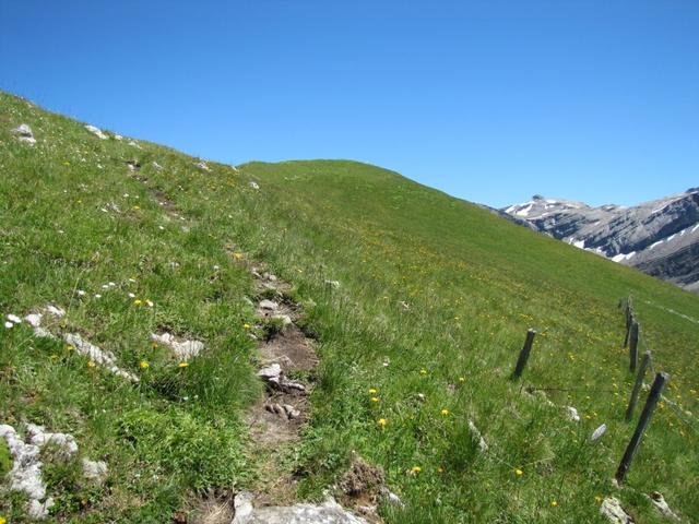 kurz vor dem Grasgipfel