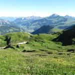 Blick zurück. Gut ersichtlich die Weggabelung bei Stiereläger