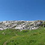 der Bergweg führt einem nun direkt in das grosse Schrattenkalkgebiet unterhalb vom Schnidehorn