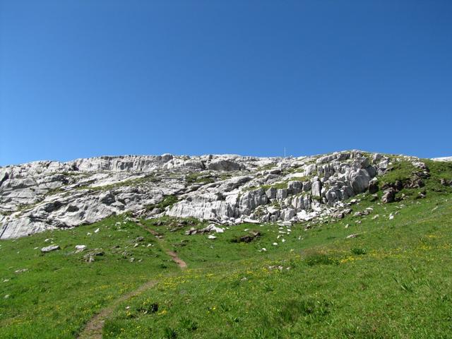 der Bergweg führt einem nun direkt in das grosse Schrattenkalkgebiet unterhalb vom Schnidehorn