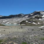 wir haben die Schwemmebene beim Lac des Audannes erreicht