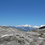 Blick auf die Walliser Bergriesen, Weissmies, Dom, Täschhorn und Weisshorn