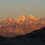 Weissmies, Dom, Täschhorn und Weisshorn nehmen ein Bad in der Abendsonne