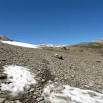 Möränenschutt und vom Gletscher geformte Rundhöckerlandschaft wechseln sich nun ab