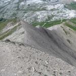 alles am Grat entlang führt uns der Weg nun abwärts zum Col du Sanetsch