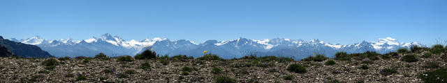 gigantisches Breitbildfoto. Schön aufgereiht unzählige 4000 der Walliser Alpen. Weisshorn, Matterhorn, Grand Combin usw.