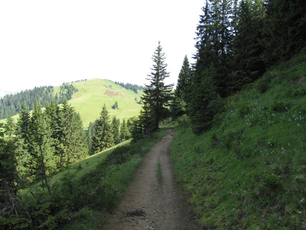 bei Aherlisbode 1806 m.ü.M.