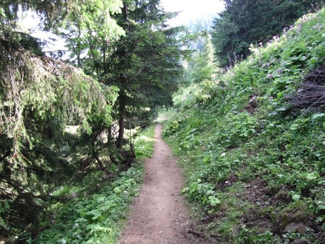 auf einfachem Wanderweg geht es weiter Richtung Hinderi Schneit