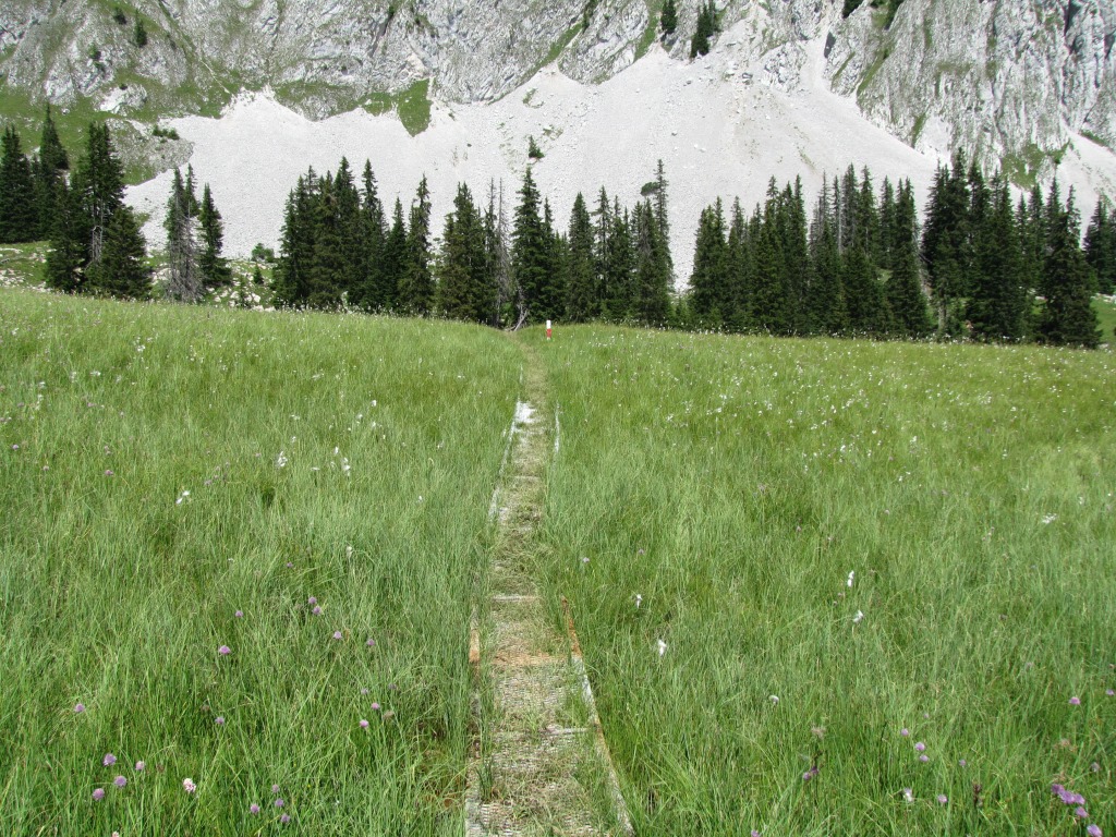 kurz nach der Husegghütte 1780 m.ü.M. führt der Wanderweg direkt zur Wandflue