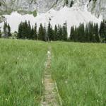 kurz nach der Husegghütte 1780 m.ü.M. führt der Wanderweg direkt zur Wandflue