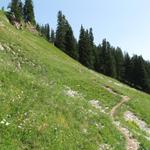 der Wanderweg führt nun steiler aufwärts