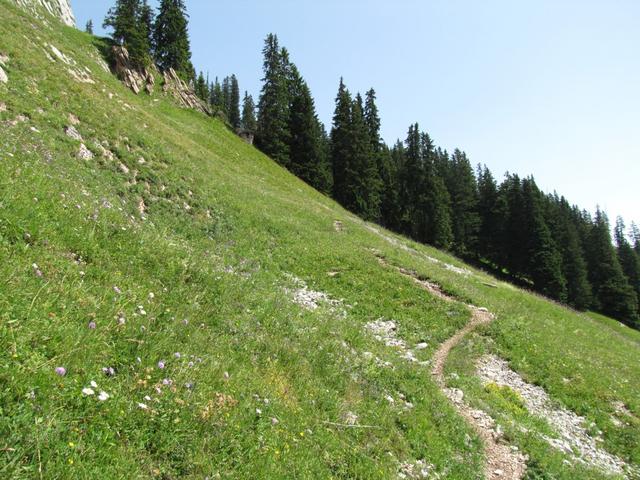 der Wanderweg führt nun steiler aufwärts