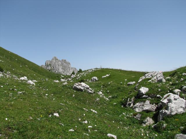 vor uns tauchen die Sattelspitzen auf