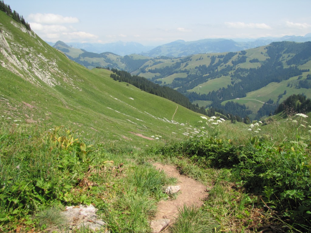 gut ersichtlich der weitere Wegverlauf