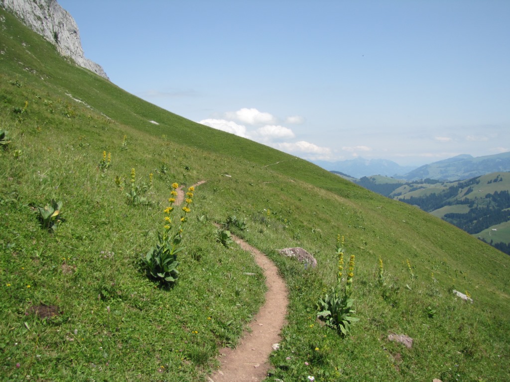 der einfache Wanderweg führt nun alles den Sattelspitzen entlang