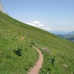 der einfache Wanderweg führt nun alles den Sattelspitzen entlang