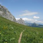 am Horizont tauchen die Gastlosen auf