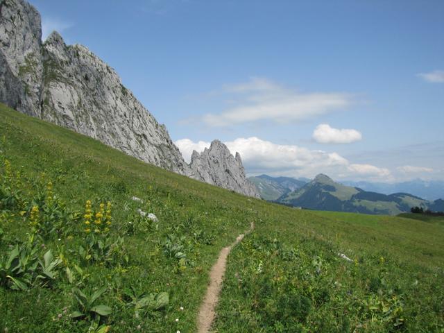 am Horizont tauchen die Gastlosen auf