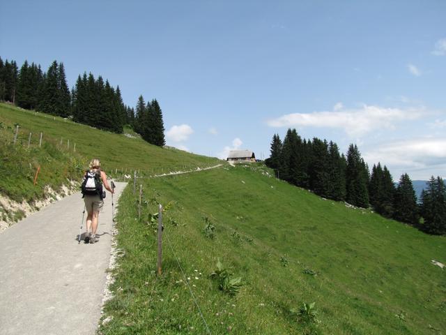 auf einfachem Wanderweg erreichen wir Grat 1642 m.ü.M.