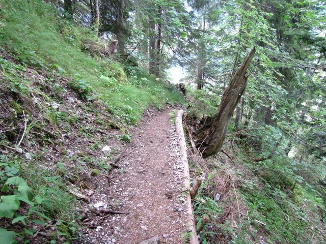 oder gut ausgebauter Waldweg hinab Richtung Jaun