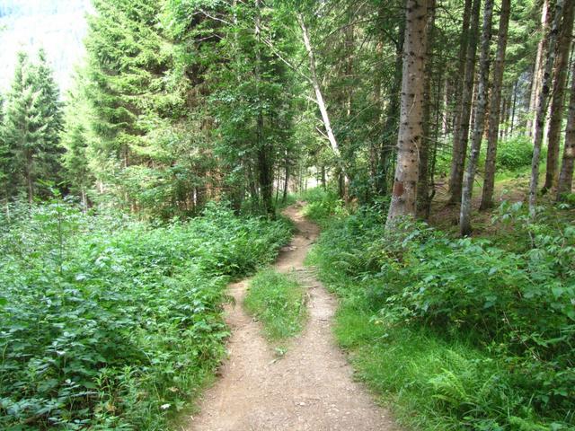 Fangeren Auen 1178 m.ü.M.