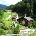 Blick zurück zum Wasserfall vom Sattelbach