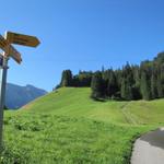 bei Punkt 1468 m.ü.M. verlassen wir die Strasse und biegen links ab